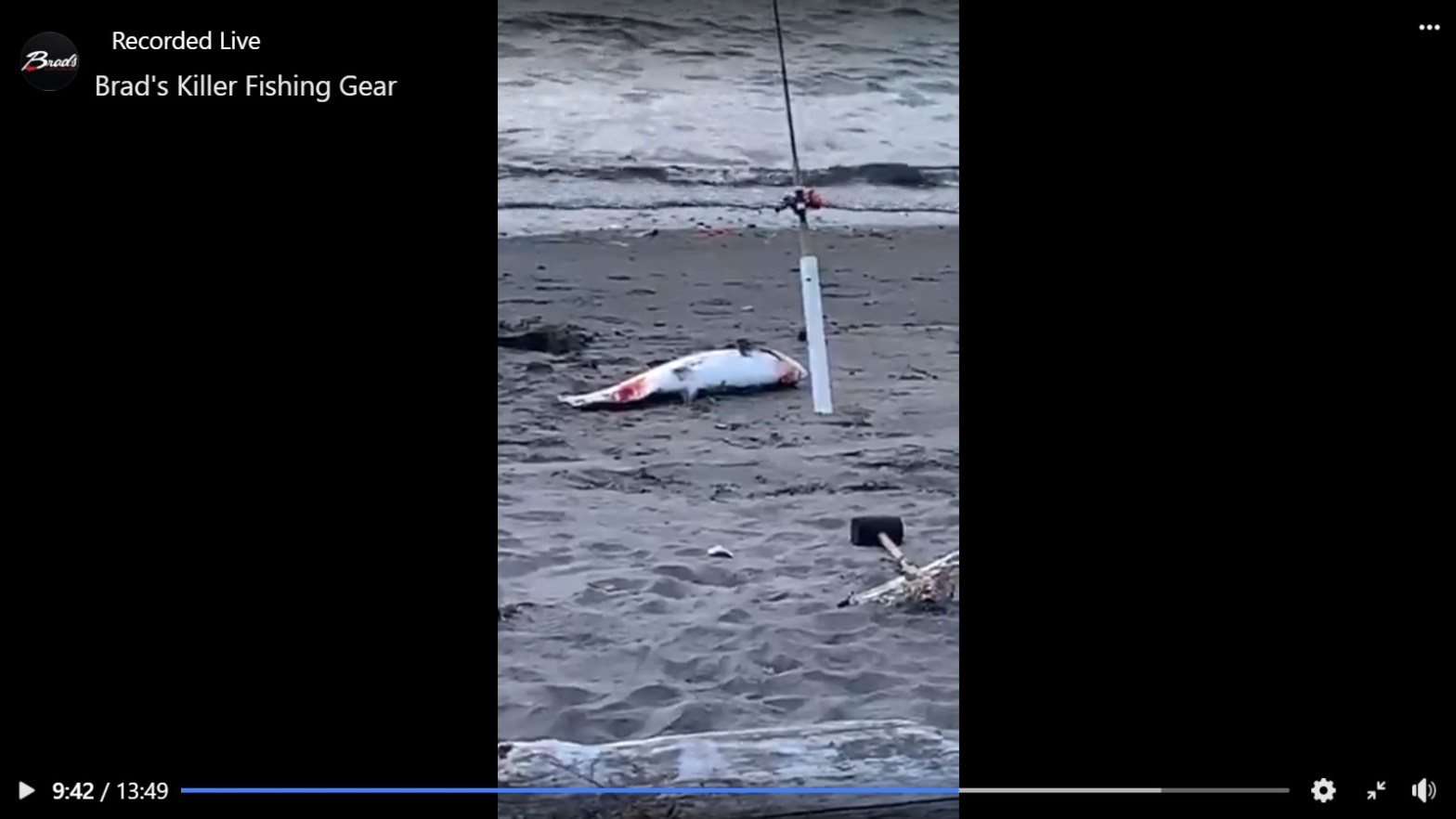 Mark’s fishing pole and fish on the shore. August 30, 2020